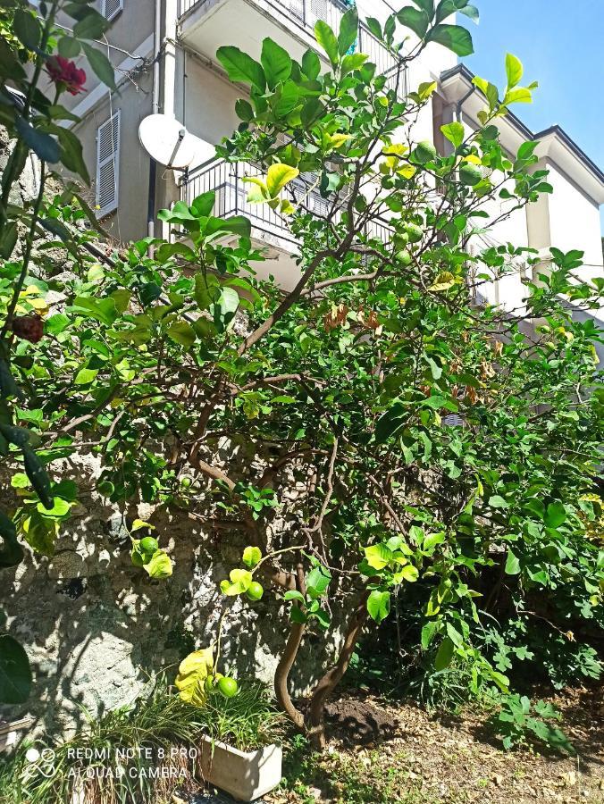 Lemons House Διαμέρισμα Μοντερόσο αλ Μάρε Εξωτερικό φωτογραφία